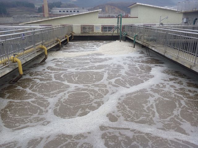 1534990059659419.jpg 201512182.jpg