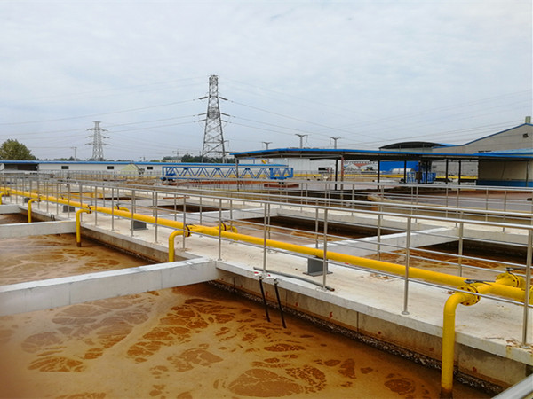 1536289460140283.jpg 18.9.7-1.jpg